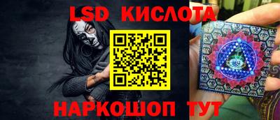 тгк Кингисепп