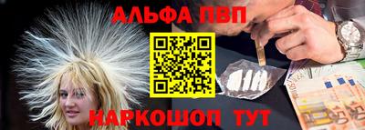 тгк Кингисепп
