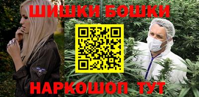 тгк Кингисепп