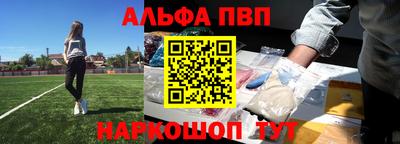 тгк Кингисепп