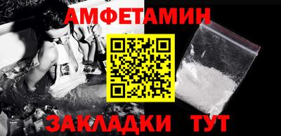 тгк Кингисепп