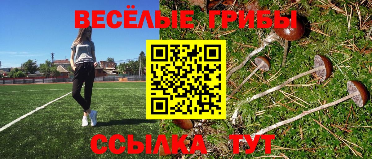 Краснознаменск  купить наркотики сайты  Вход с VPN  Псилоцибиновые грибы Cubensis 