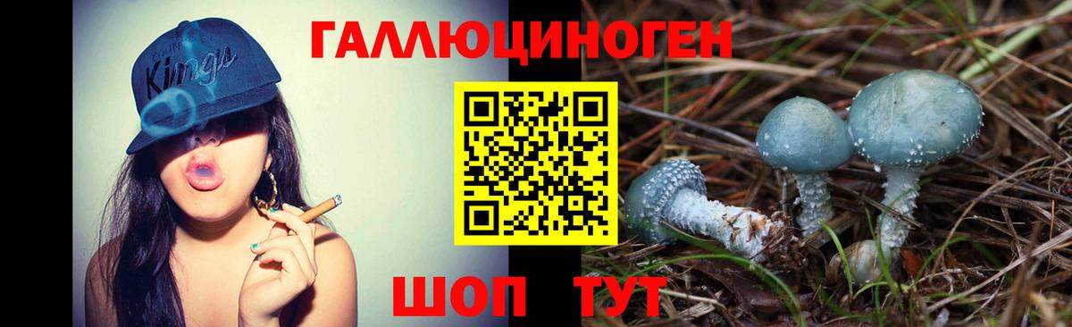Галлюциногенные грибы MAGIC MUSHROOMS Краснознаменск